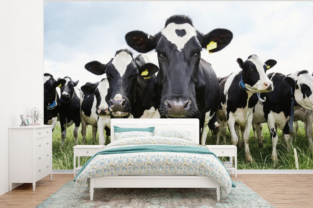 MuchoWow Fototapete für Wohnzimmer oder Schlafzimmer Wandtapete Vinyl Motivtapete Kühe - Gras - Frühling - Tiere - Wiese - Bauernhof - 375x280...