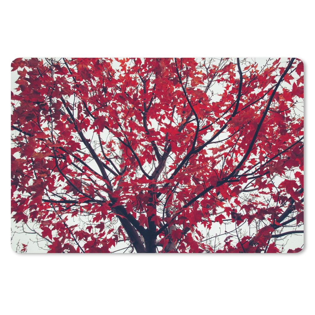 MuchoWow Schreibtischunterlage Ahorn - Blätter - Herbst - Natur 60x40 cm - XXL Mauspad - Großes Mauspad