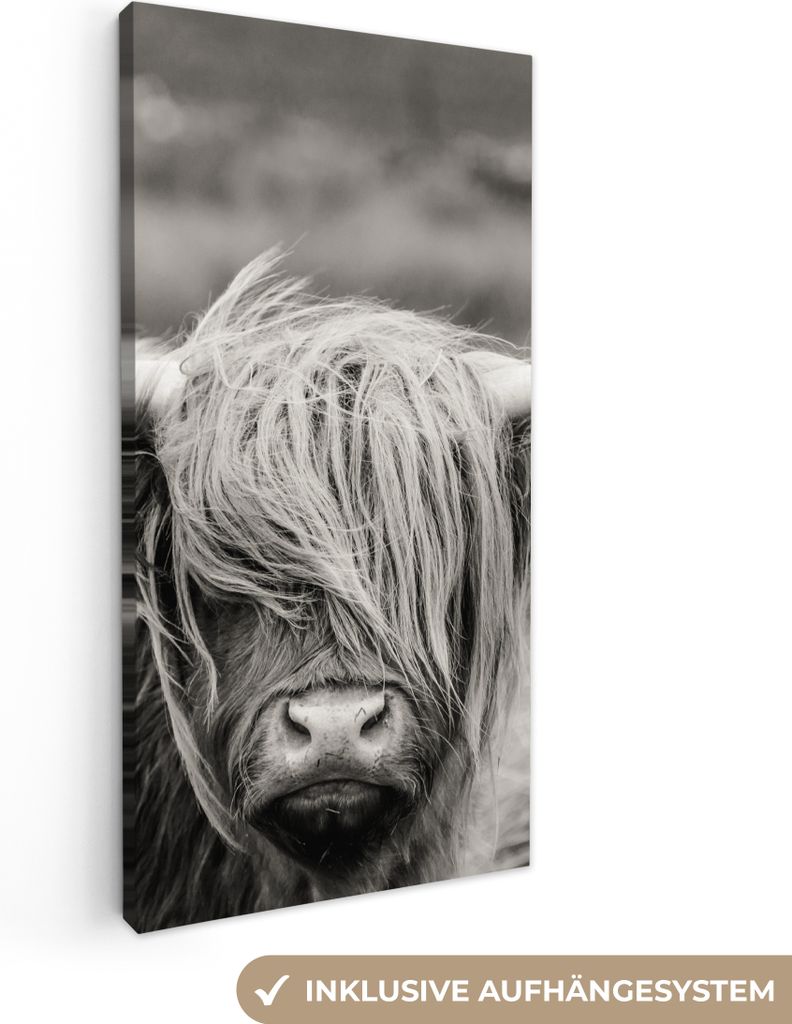 MuchoWow® - Leinwandbilder - Schottischer Highlander - Kuh Produktbild 