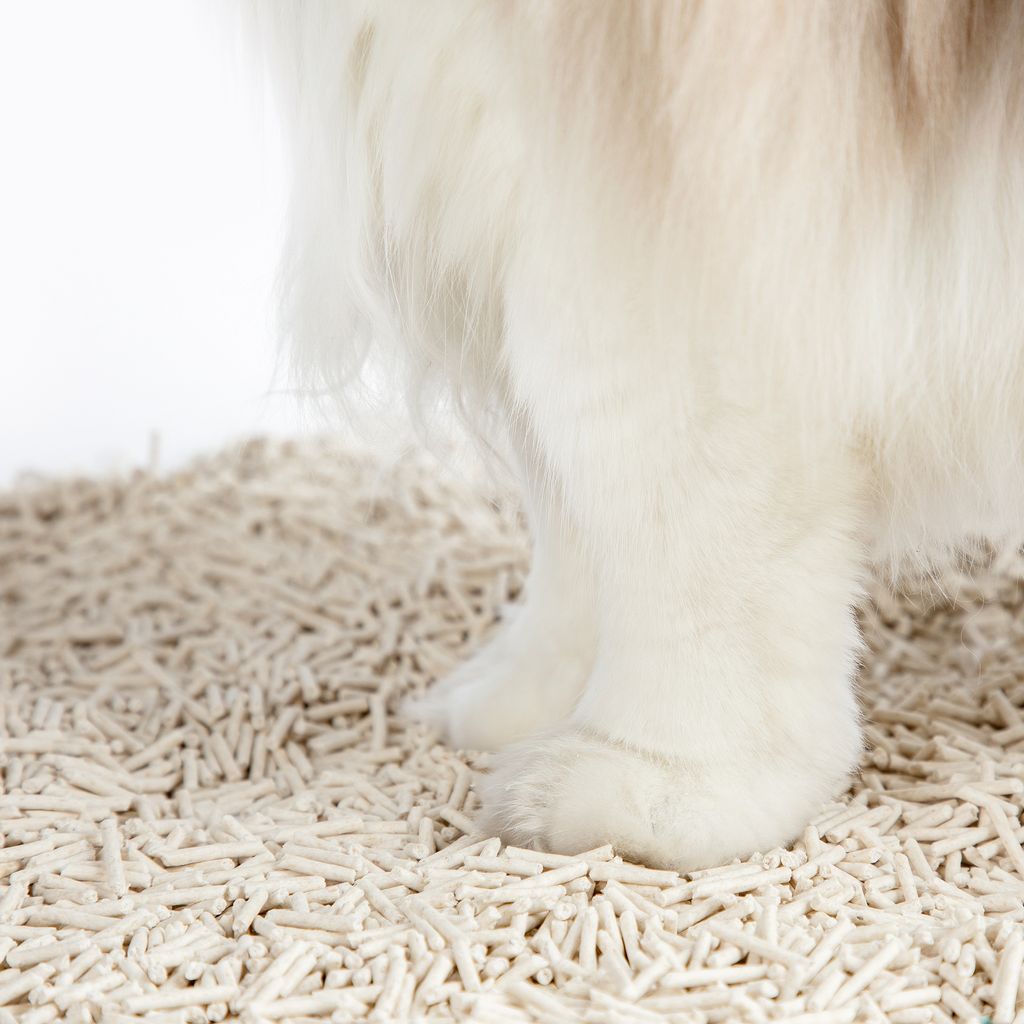 Versapet Tofu Katzenstreu Klumpstreu Cat Kaufland.de