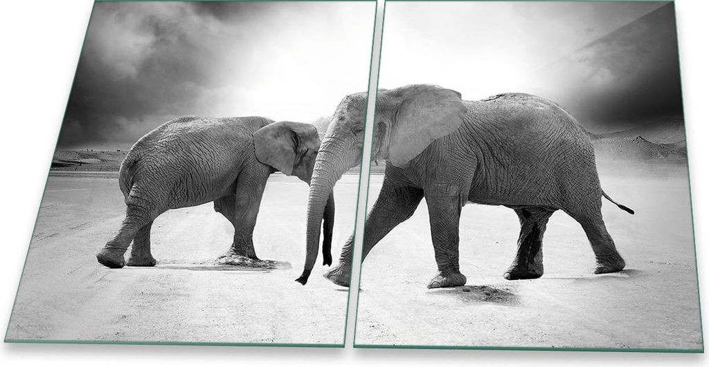 Herdabdeckplatte Glaskeramik 2-Teilig 2x40x52 Elefant Grau Abdeckung Spritzschutz Glas