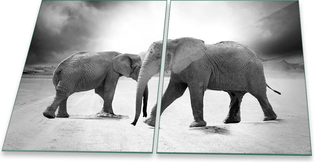 Piastra di Copertura Piano Cottura in Vetro 2 Pezzi 40x52 Elephant Grigio