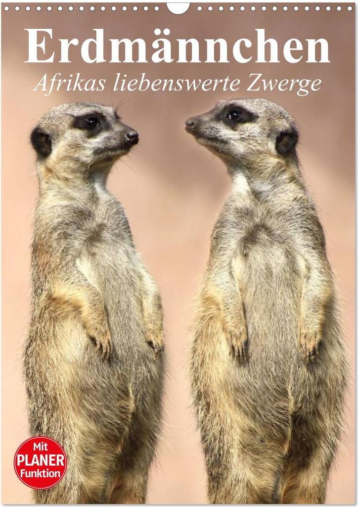 Erdmännchen - Afrikas liebenswerte Zwerge (Wandkalender 2026 DIN A3 hoch), CALVENDO Monatskalender