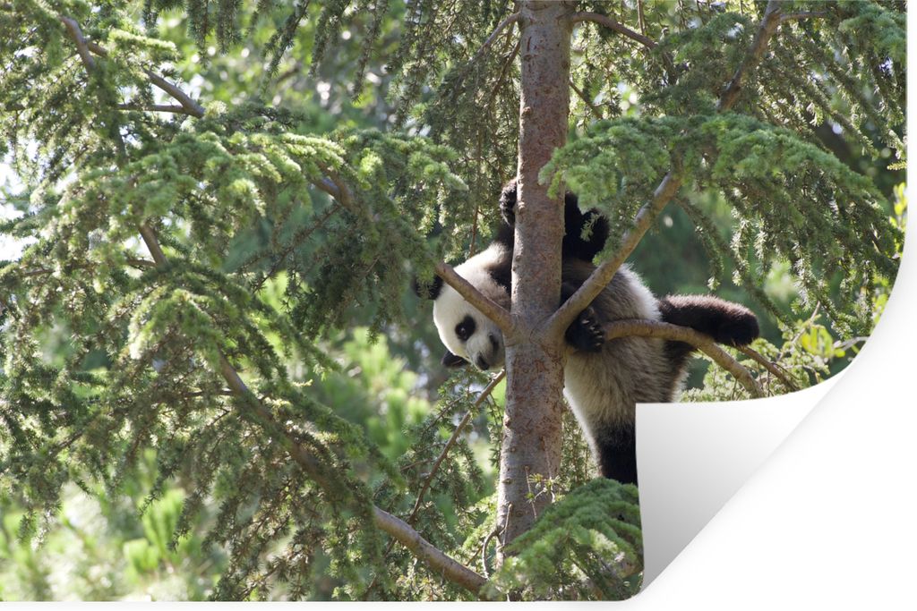 MuchoWow - Aufkleber