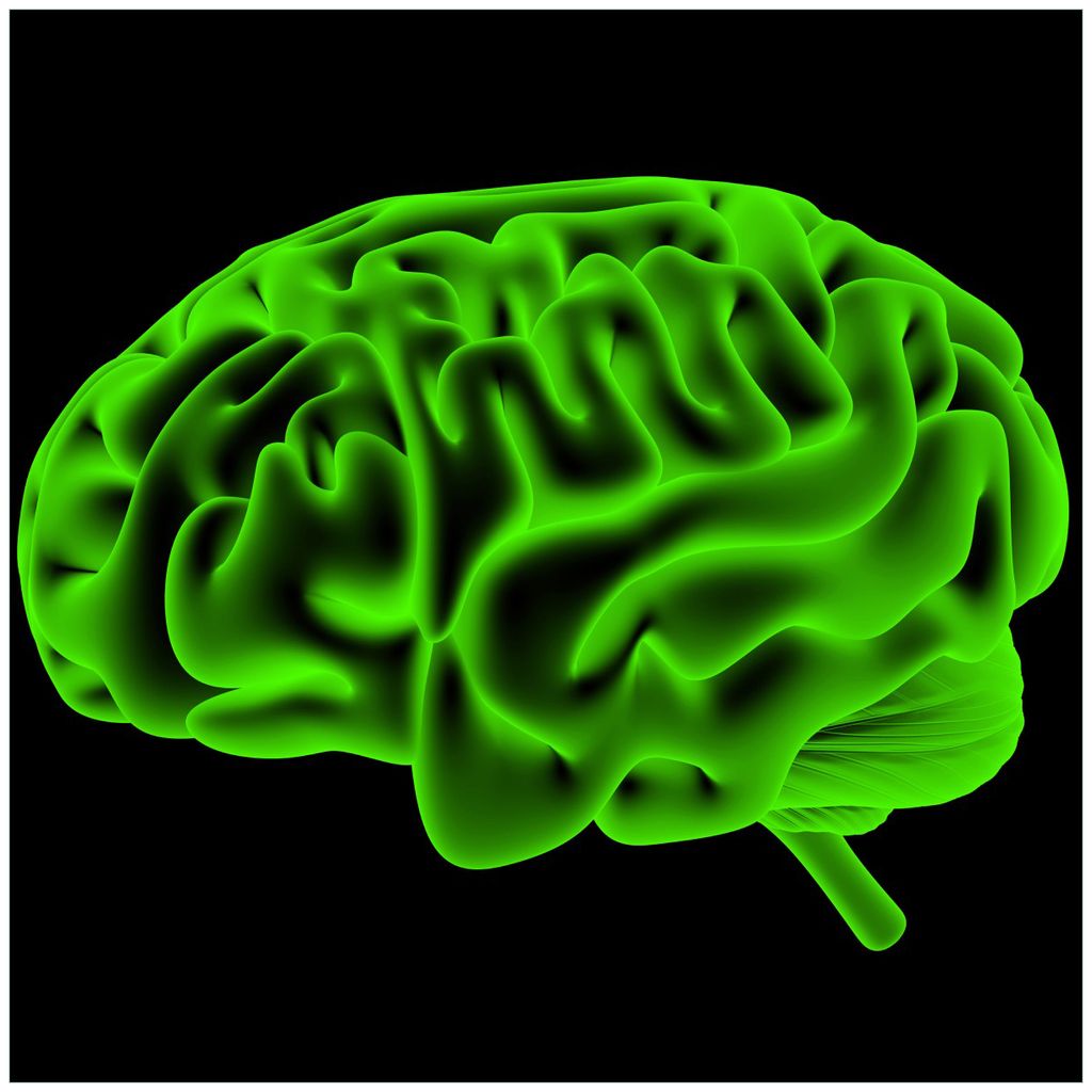 Wallario Magnet für Kühlschrank / Geschirrspüler, magnetisch haftende Folie - 60 x 60 cm, Motiv: Menschliches Gehirn in leuchtend grüner Farbe