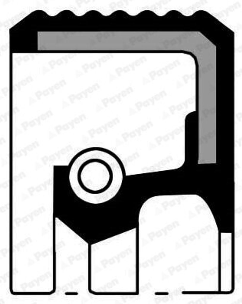 PAYEN Wellendichtring Differential NF825 für FIAT DUCATO Pritsche/Fahrgestell (230) FPM (Fluor-Kautschuk)/ACM (Polyacryl-Kautschuk) 50mm