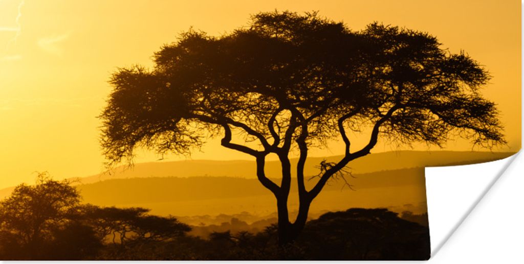 MuchoWow Poster Gelber Himmel über dem Serengeti-Nationalpark in Tansania 150x75 cm - ohne Rahmen