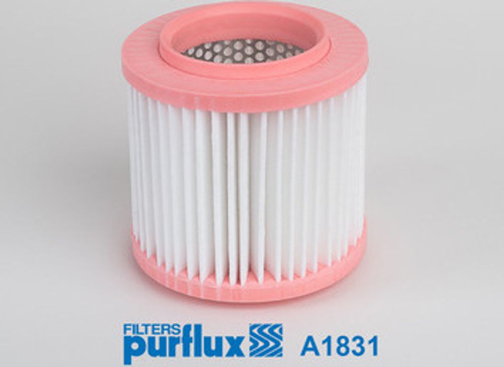 Luftfilter PURFLUX A1831 für AUDI A8 (4E2, 4E8) Filtereinsatz