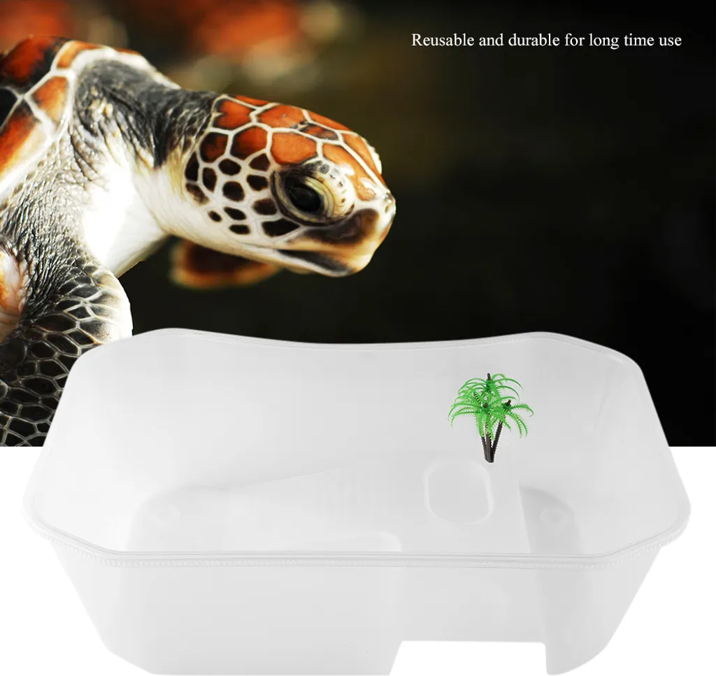 Petit réservoir à poissons ouvert en plastique avec plate-forme de bain