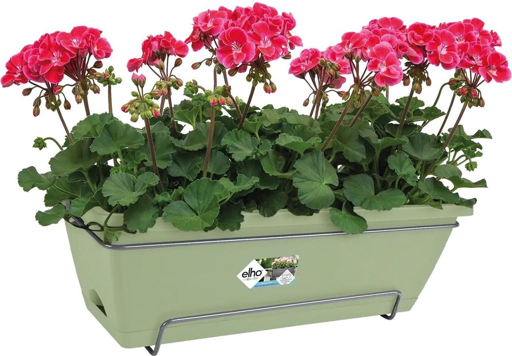 Blumentopf Elho 50 x 28 x 19 cm Produktbild 
