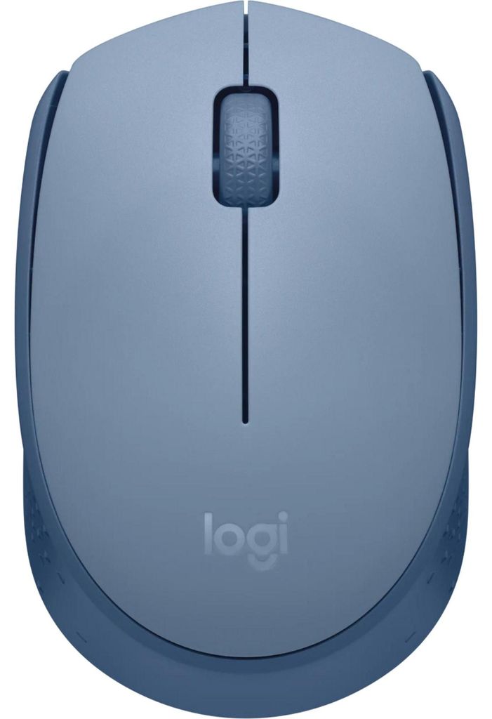 Logitech M171, Oburęczny, Optyczny, RF Wireless, 1000 DPI, Zdjęcie produktu 