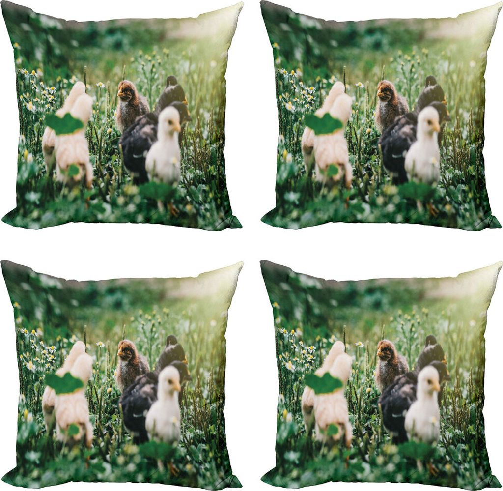 ABAKUHAUS Chicks Kissenbezug Set (4 Stück), Kleine Hühner in den Gänseblümchen, Moderner Doppelseitiger Digitaldruck, 60 cm x 60 cm, Mehrfarbig