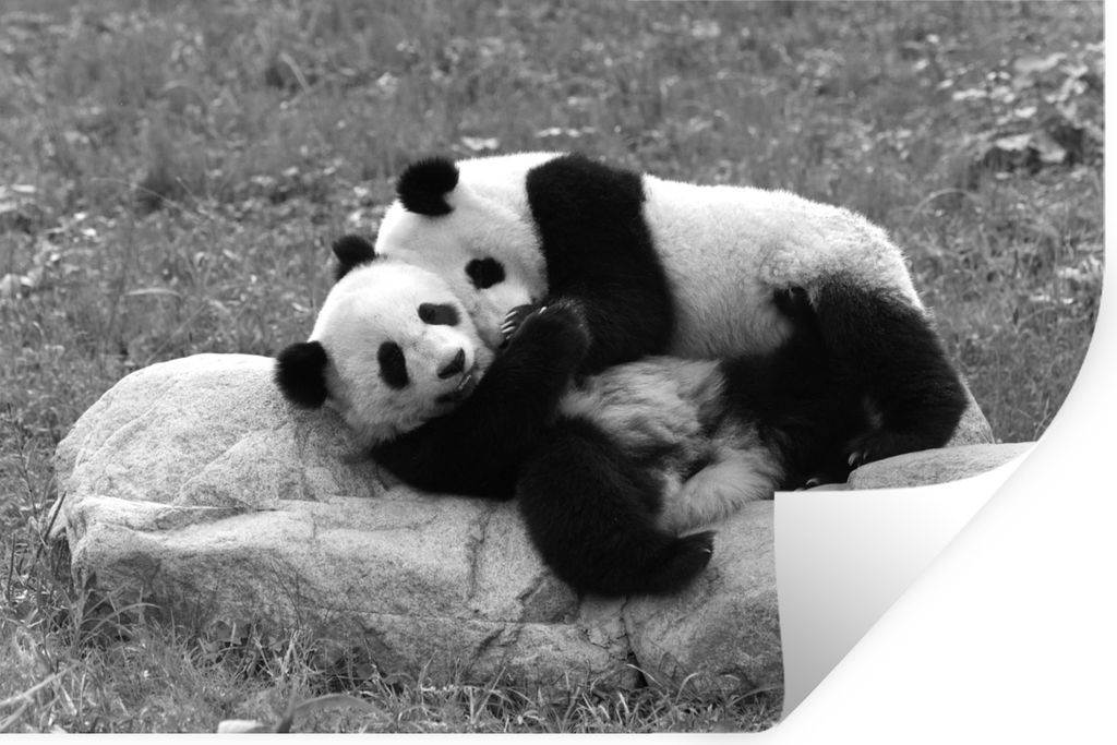 MuchoWow - Selbstklebend - Fototapeten