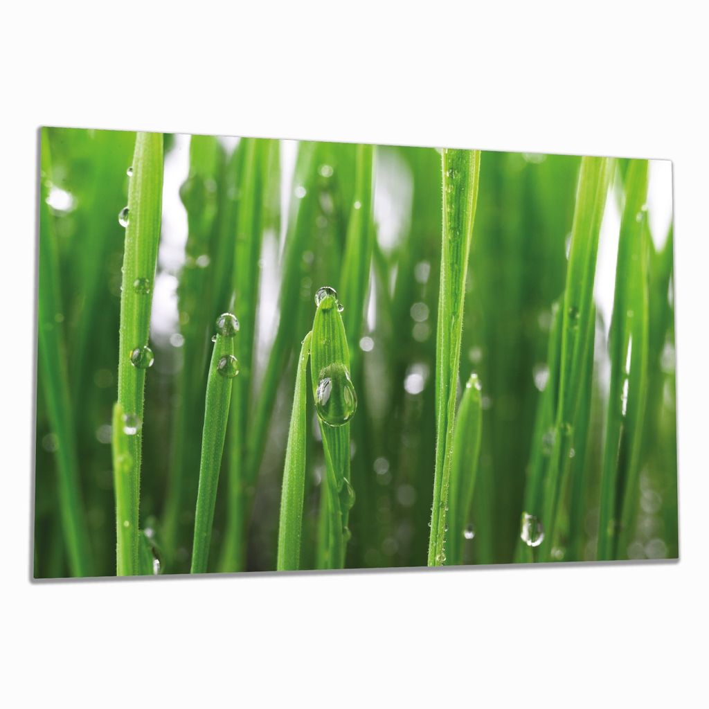 Wallario Herdabdeckplatte aus Glas, Größe 80 x 52 cm 1-teilig, Motiv Wassertropfen an Grashalmen