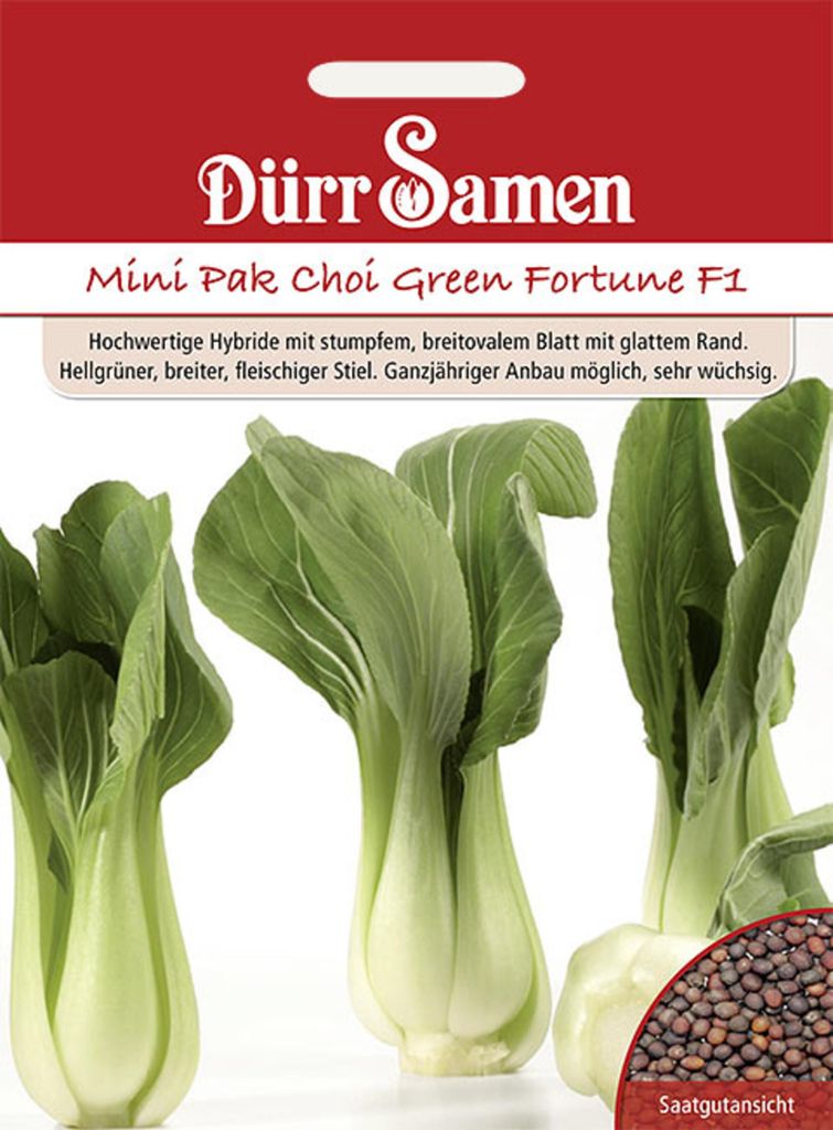 Dürr-Samen - Asia-Salat Green Fortune F1 - Saatgut - 0072