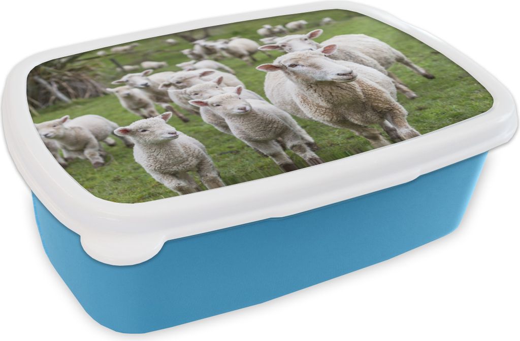 KitchenYeah Lunchbox Brotzeit Brotdose 17x11 cm Schafe - Gras - Lamm Kinder Brotzeitdose - Lunch - Kunststoff - Brotbüchse - Sandwichbox - Lunc...