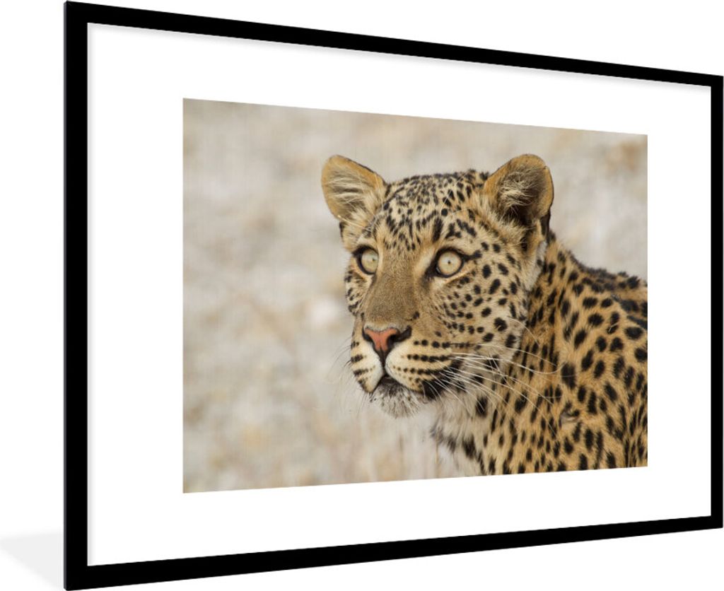 MuchoWow MuchoWow Gerahmtes Poster Leopard - Makro - Braun 90x60 cm - Poster mit zchwarzem Bilderrahmen - Wanddekoration - Fotos