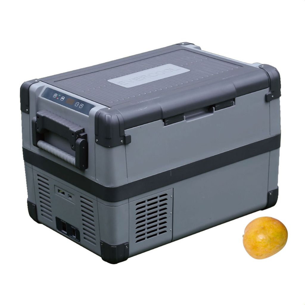 Lifetime Kunststoff Kühlbox Premium 26 Liter, Grau