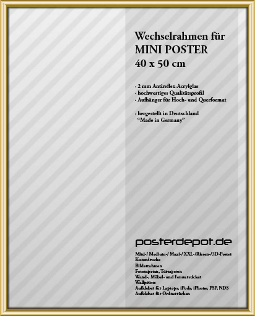 Bilderrahmen für Mini Poster - Größe 40 x 50 cm - Kunststoffrahmen Acrylglas für Hoch- und Querformat