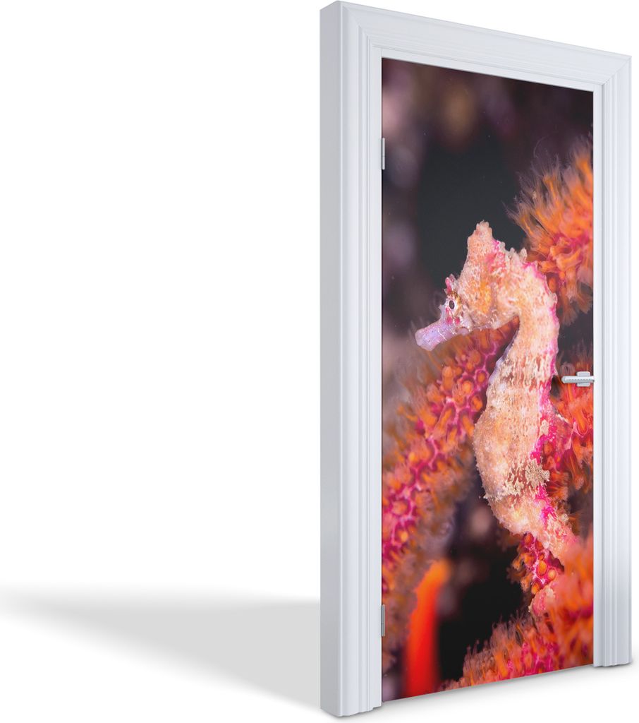 Türfolien Design Selbstklebende Wandsticker Türtapeten - Seepferdchen - 95 x 205 cm