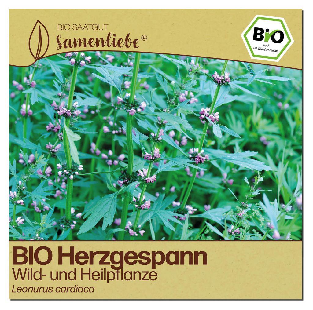 Samenliebe  Herzgespann Samen | Wildblume - winterhart & Produktbild 