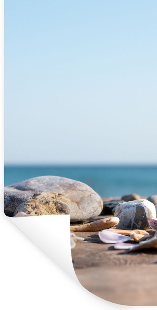 MuchoWow Wandtattoo Wandsticker Wandaufkleber Muscheln - Strand - Meer - Sommer - Sonne 60x120 cm Selbstklebend und Repositionierbar - Selbstkleb...