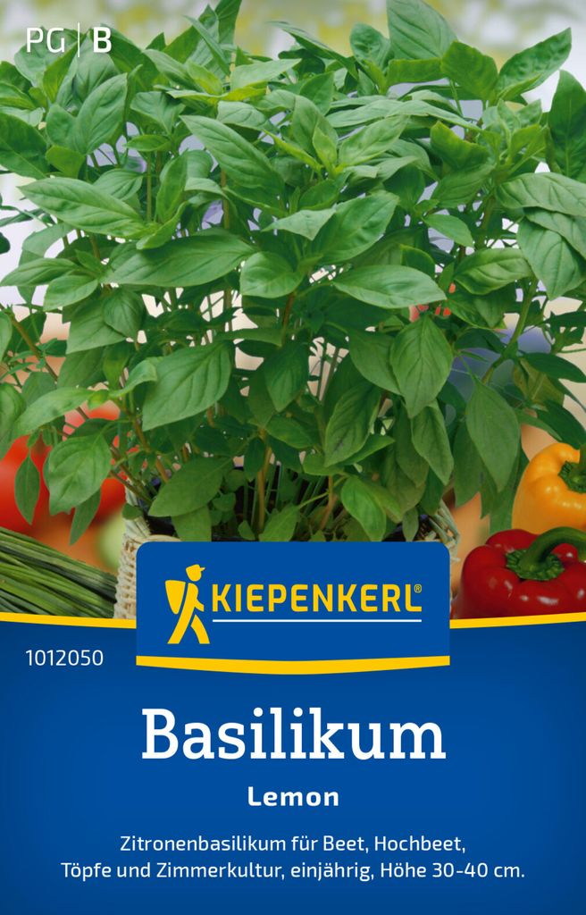 Kiepenkerl Basilikumsamen Lemon Ocimum americanum 150 Pflanzen