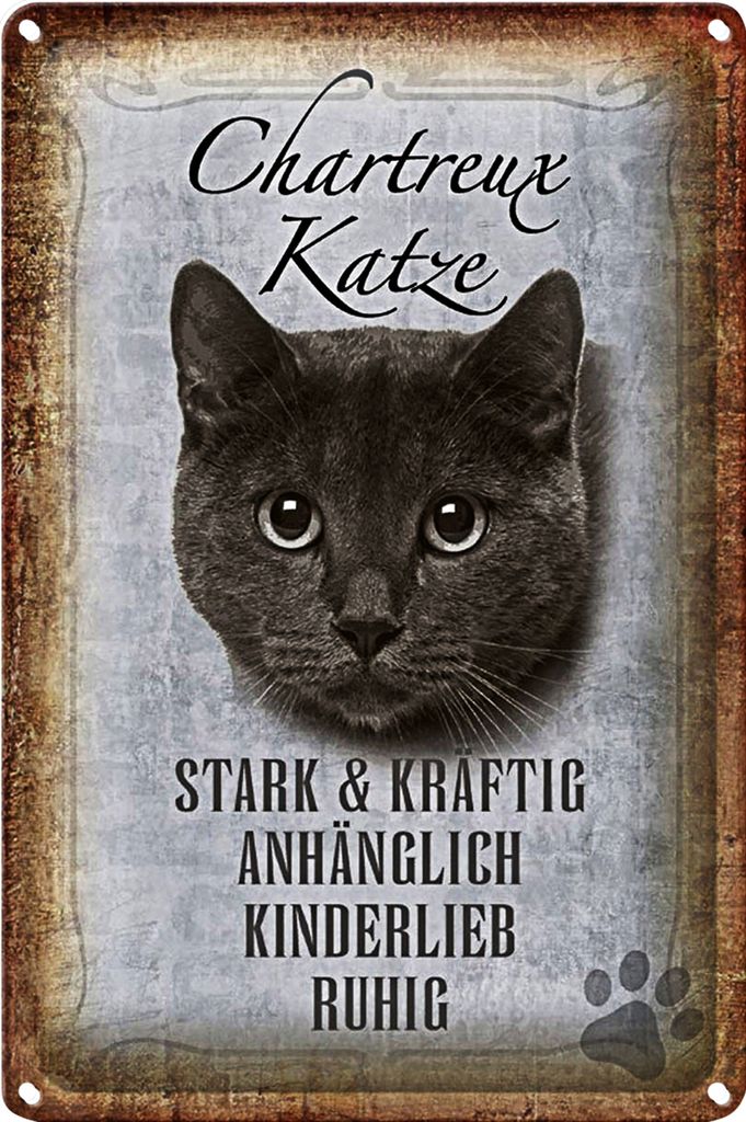 Blechschild Spruch 40x30cm Chartreux Katze stark
