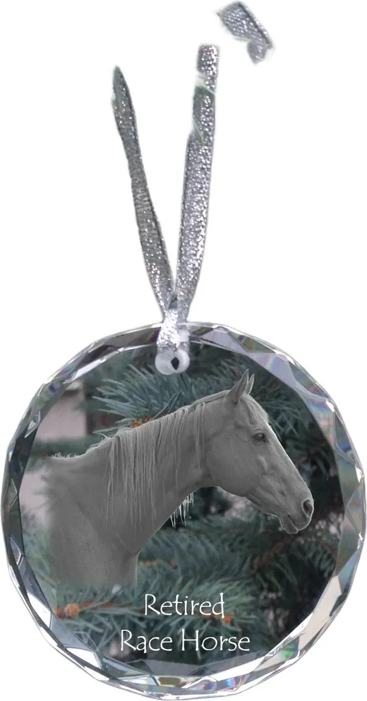 Bloc en cristal personnalisé avec photo de votre cheval pour Noël