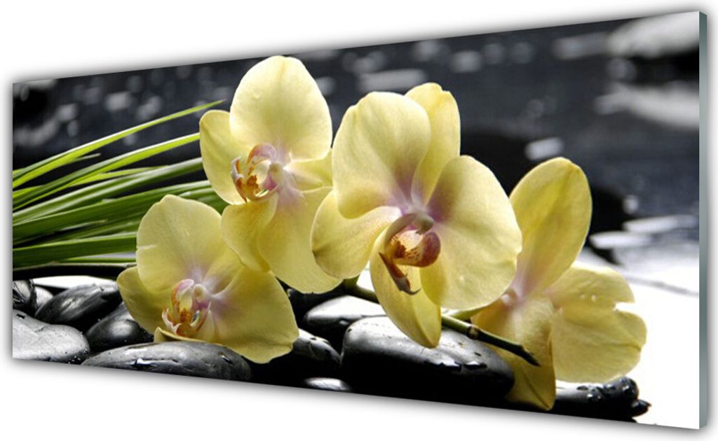 Glasbilder 125x50 Wandbild Druck auf Glas Blumen Pflanzen
