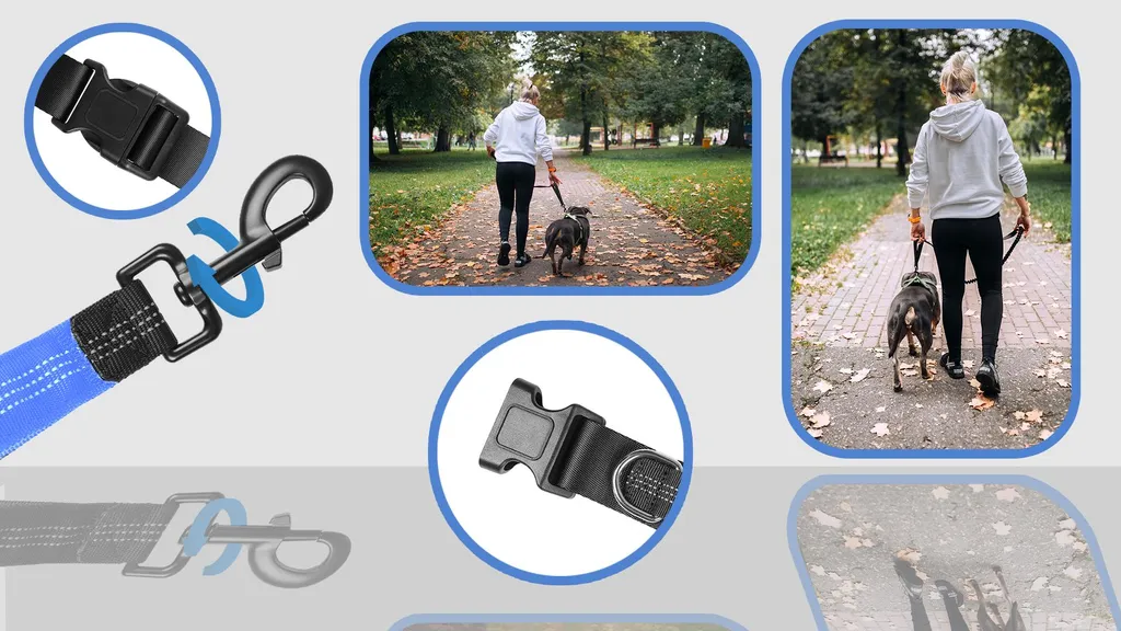Fini les Secousses : Ceinture Laisse Mains Libres pour Chien Bleu