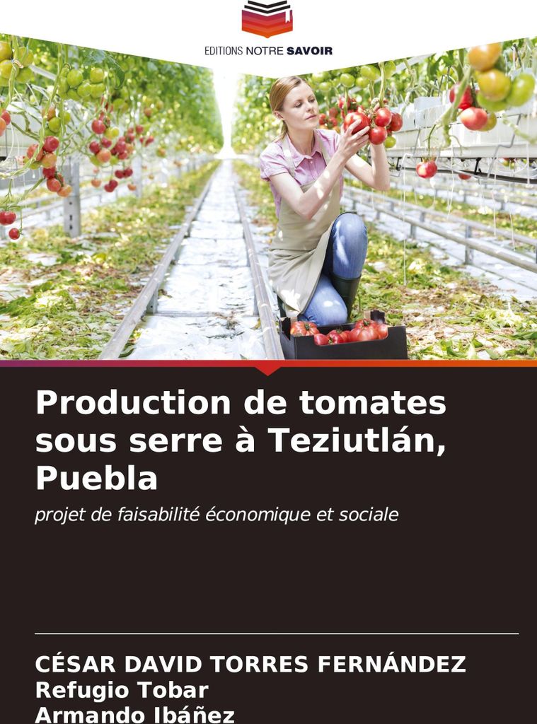 Production de tomates sous serre à Teziutlán, Puebla