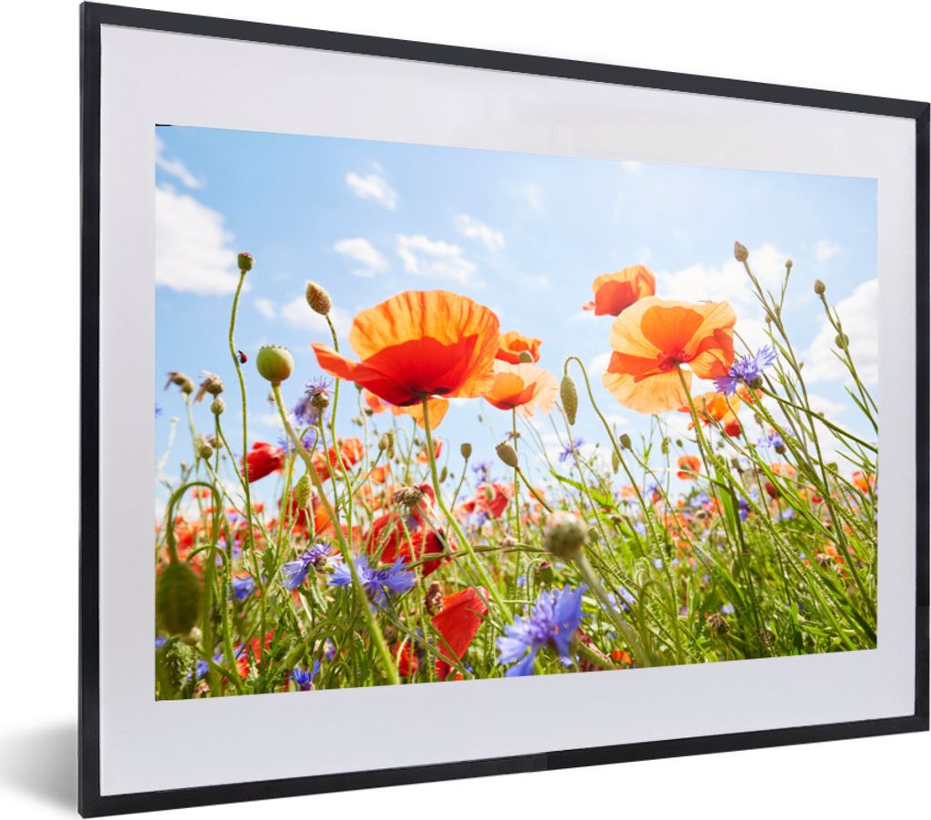 MuchoWow MuchoWow Gerahmtes Poster Blumen - Mohn - Frühling - Natur - Rot - Blau 60x40 cm - Poster mit zchwarzem Bilderrahmen - Schlafzimmer -...