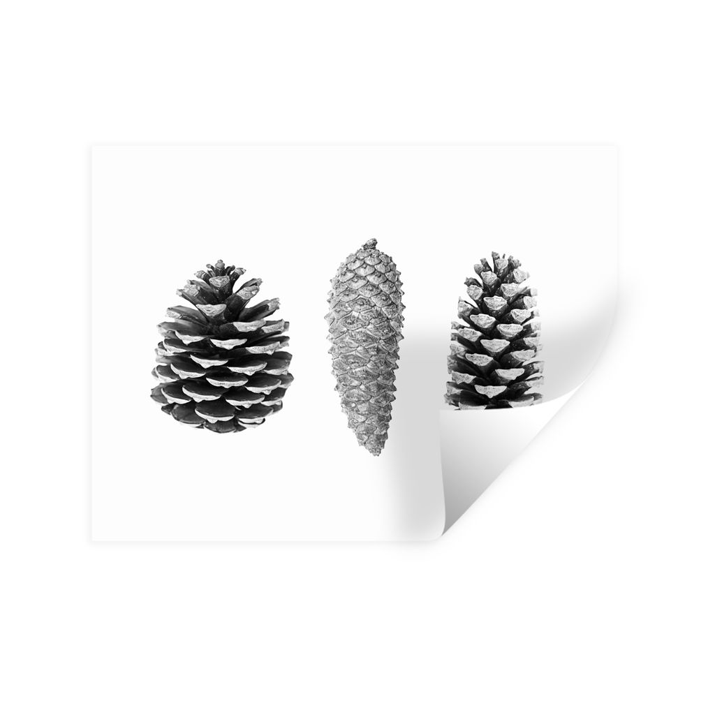 MuchoWow Wandtattoo Wandsticker Wandaufkleber Tannenzapfen - Natur - Schwarz und Weiß - Herbst 40x30 cm Selbstklebend und Repositionierbar - Fal...