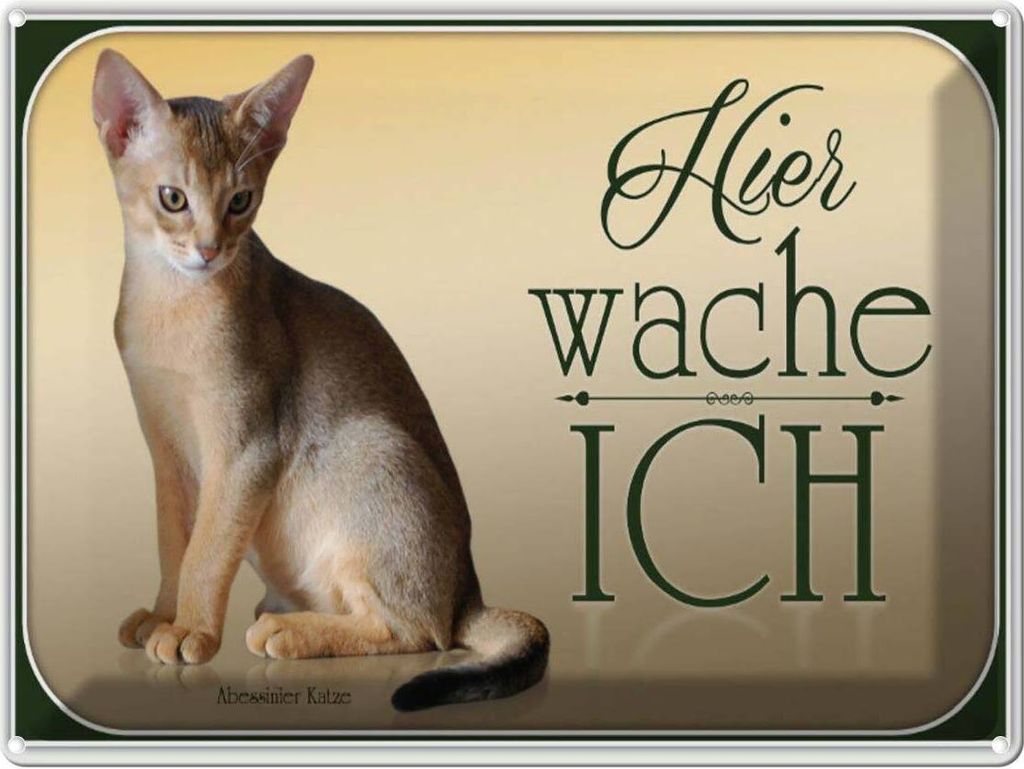 vianmo Blechschild 30x40 cm Katze Abessinier hier wache ich Produktbild 