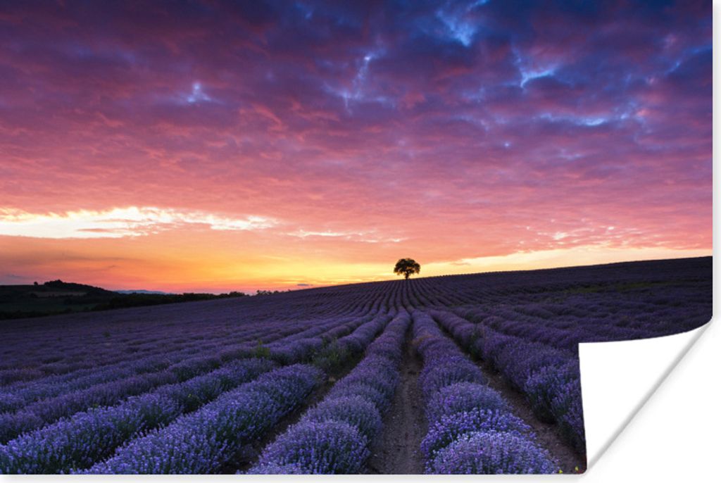 MuchoWow Poster Lila Wolken an einem Lavendelfeld 180x120 cm - Fotoplakat