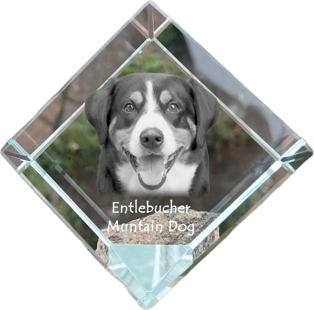 Cube cristal photo chien de berger d'Entlebuch, gravure laser 3D Art