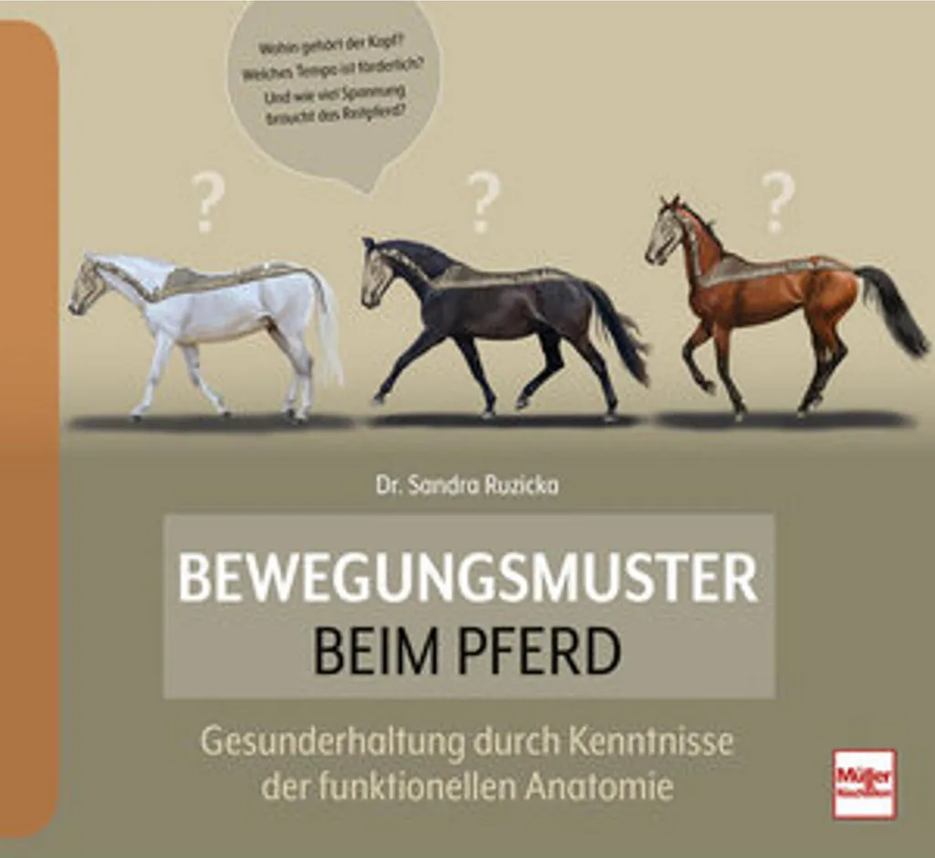 Modèles de mouvement chez le cheval : corriger les défauts d'allures