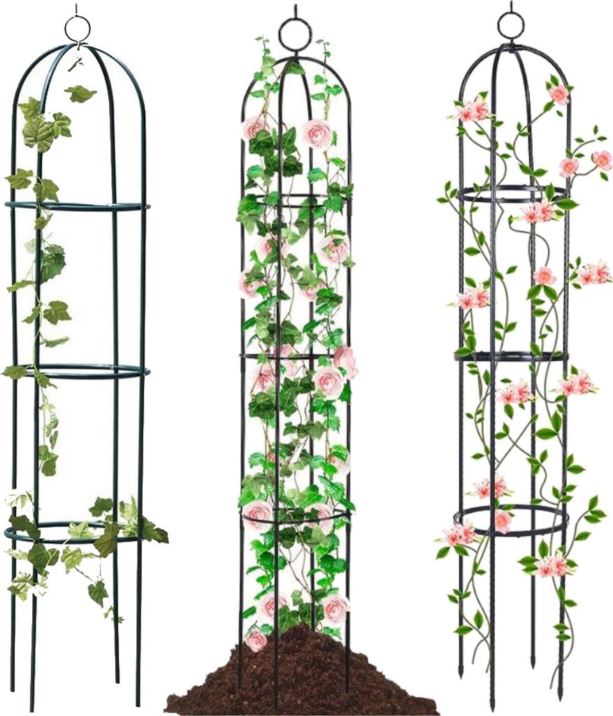 Pergola ogrodowa na kwiaty, róże kolumnowa Persian Yellow Zdjęcie produktu 