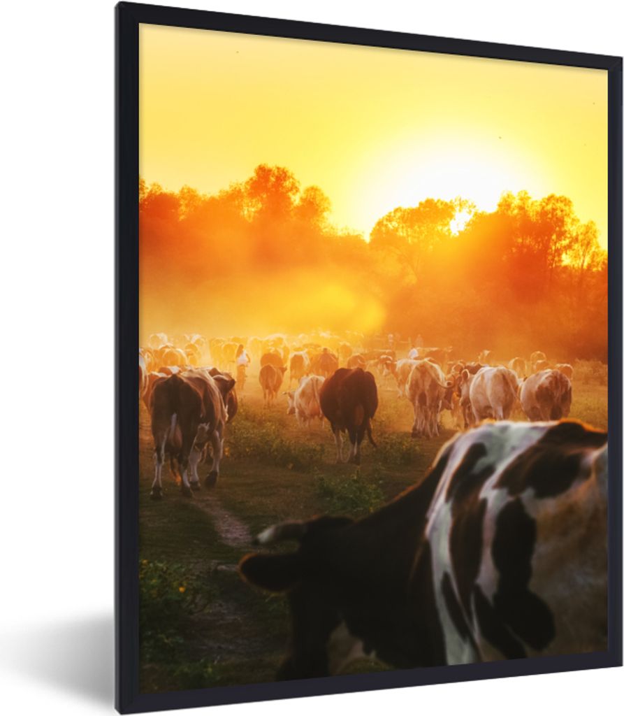 MuchoWow Gerahmtes Poster Kühe - Sonnenuntergang - Wiese - Tiere 30x40 cm - Poster mit Schwarzem Bilderrahmen Wandposter Rahmen Foto Bilder - Wa...
