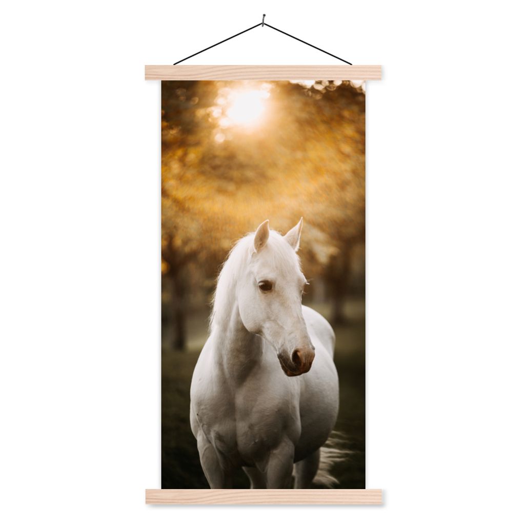 MuchoWow Textilposter Pferd - Sonne - Herbst - Tiere - Natur 60x120 cm mit holzfarbenen Rahmen - Holz