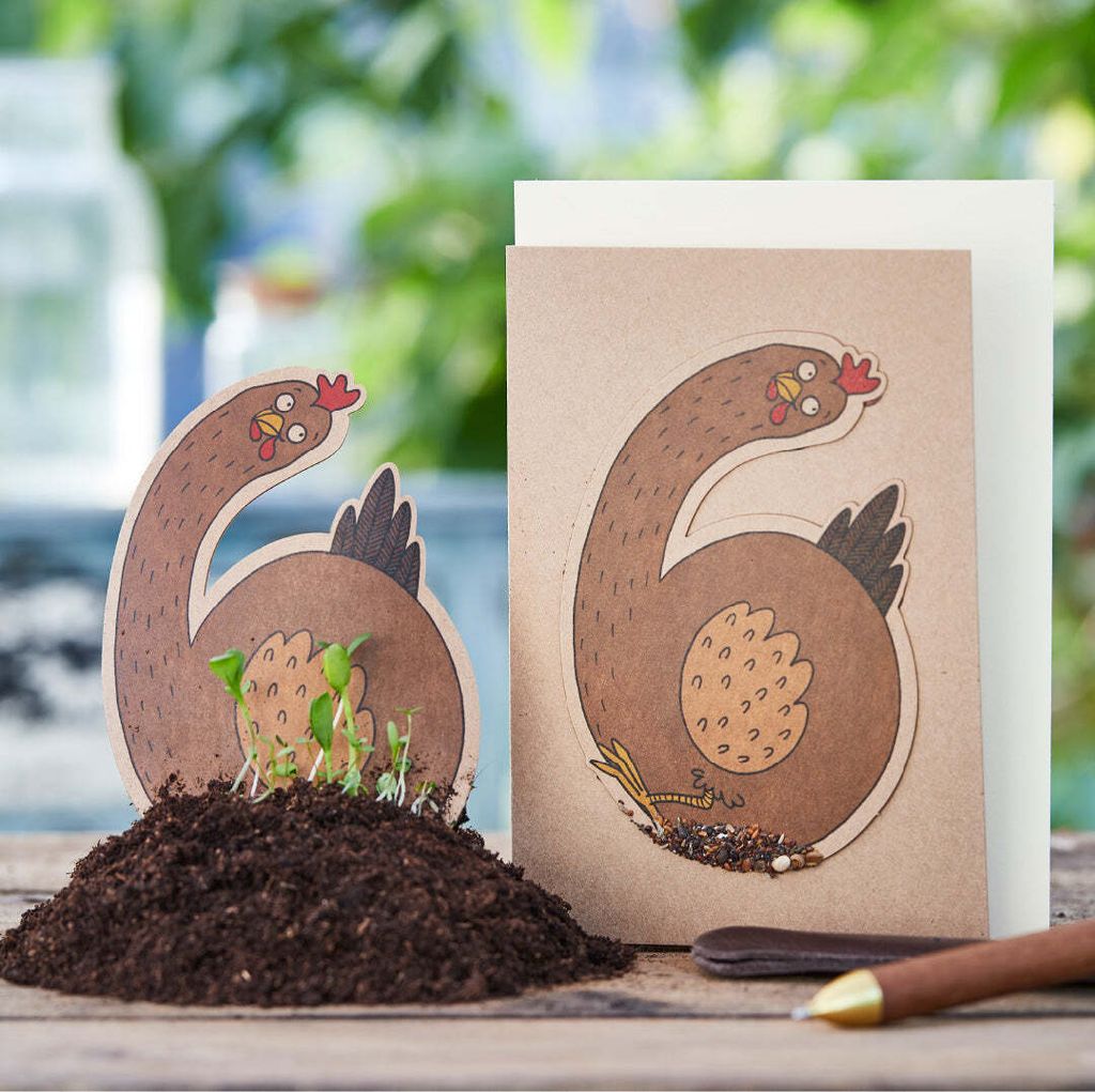 Grußkarte 'Sechs' mit Huhn - Saatstecker-Karte mit Produktbild 