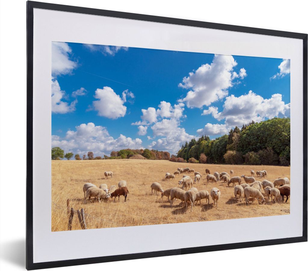 MuchoWow MuchoWow Gerahmtes Poster Eine ausgetrocknete Wiese mit Schafen in den Ardennen 40x30 cm - Poster mit zchwarzem Bilderrahmen - Bilderr...