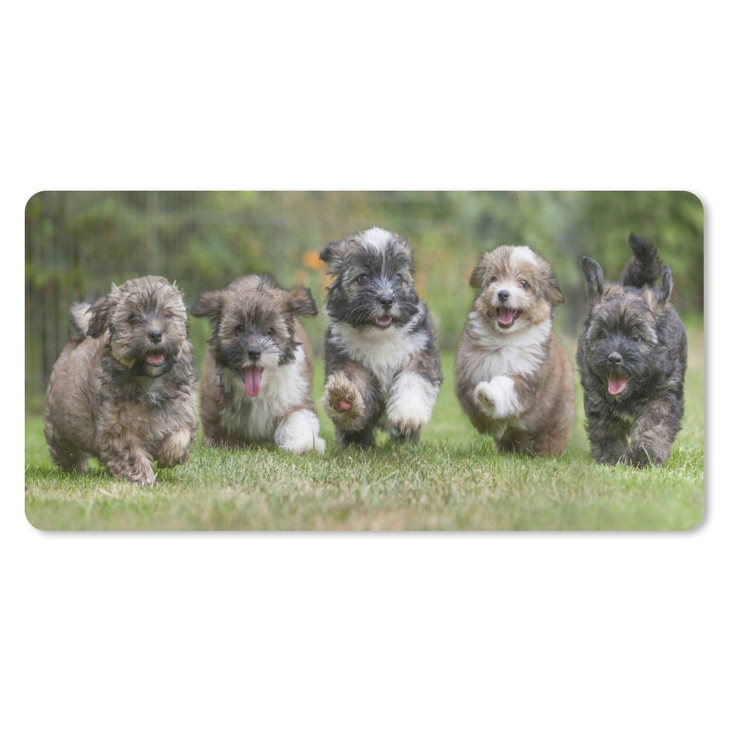 MuchoWow Mauspad Mousepad Welpen - Hunde - Tiere 60x30 cm - Mousepads - Maus Mat - Pad - Mausunterlage - Nachhaltig