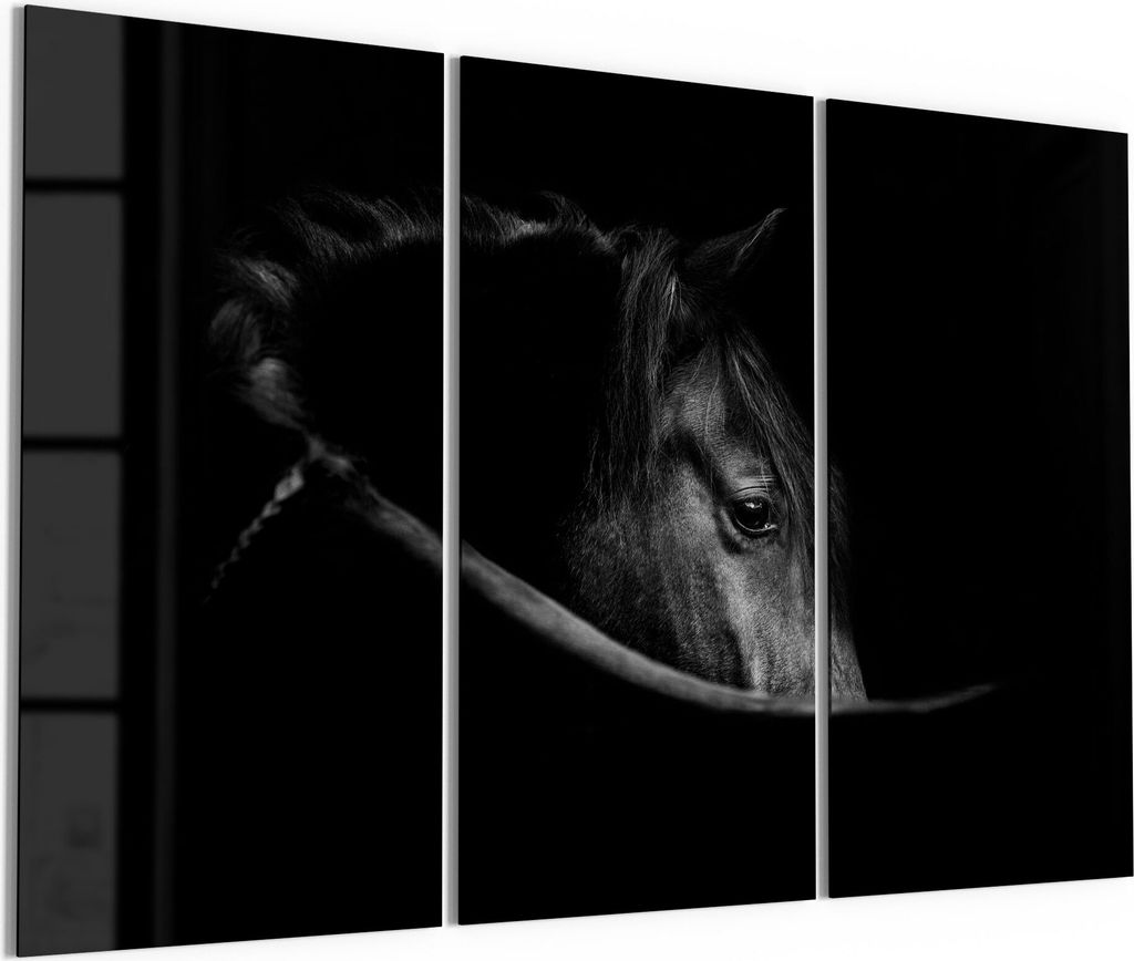 DEQORI Glasbild Echtglas 3x50x100 cm 'Schönes Pferd im Profil' Wandbilder XXL groß