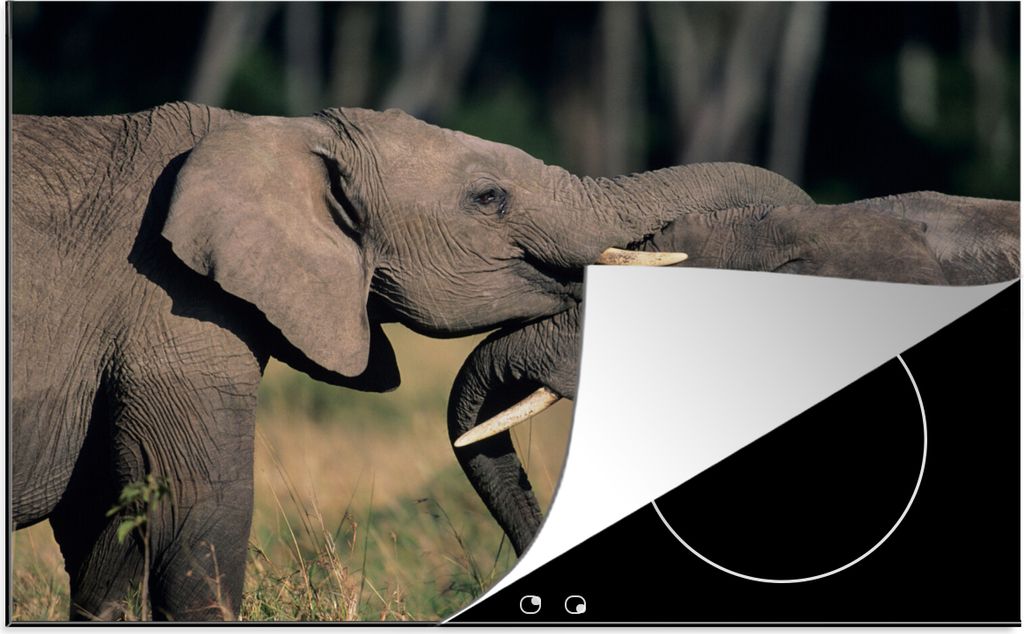 KitchenYeah Herdabdeckplatte Elefant - Tiere - Grau - Natur , 81x52cm, Küche Deko, Glaskeramikfeld Herdabdeckung, Abdeckplatte fùr Kochfeld