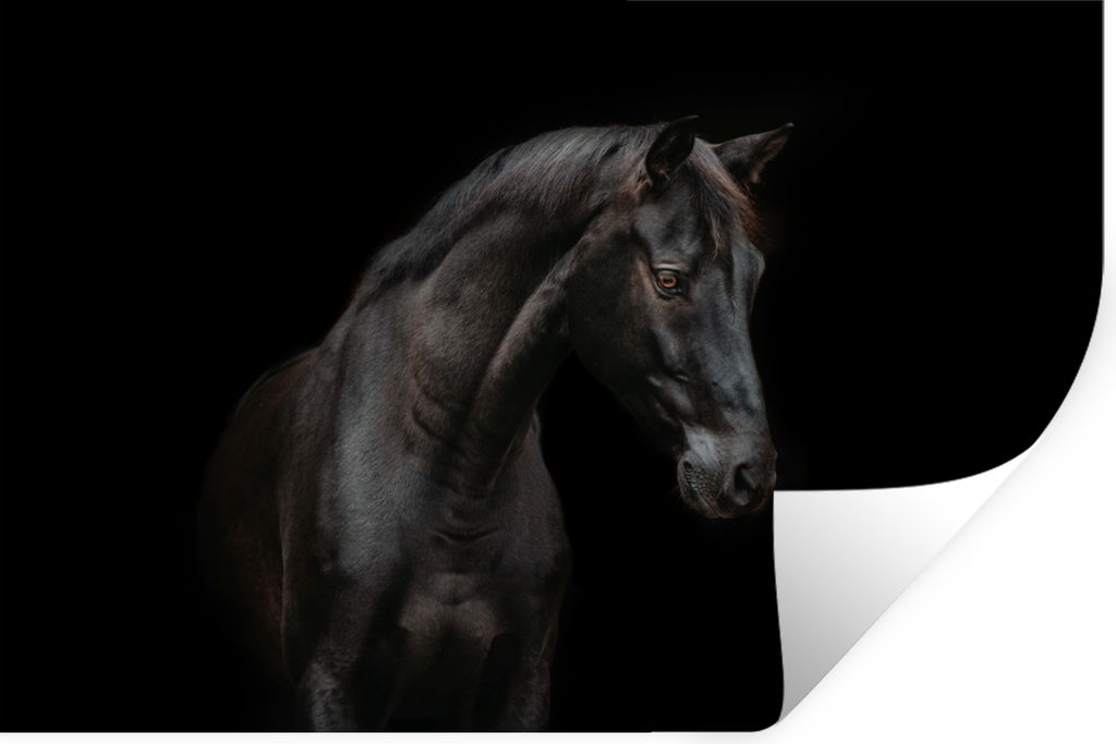 MuchoWow - Wierderverwendbar - Selbstklebend