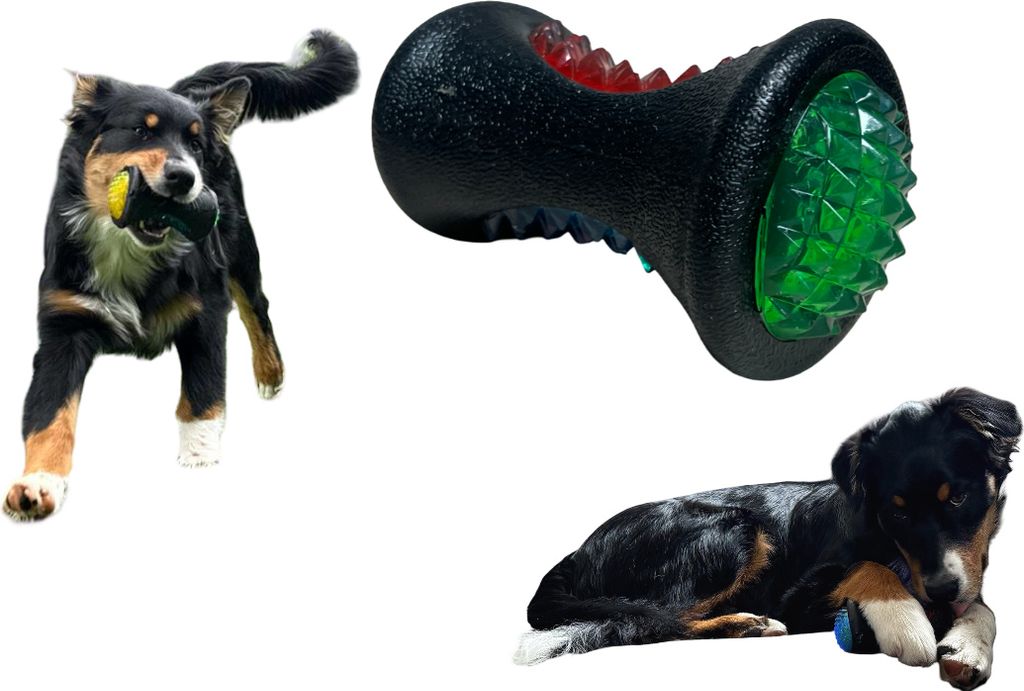 Hund Kauspielzeug Bouncy Ball Luminous Rubber Tug Toy Fetch Floating