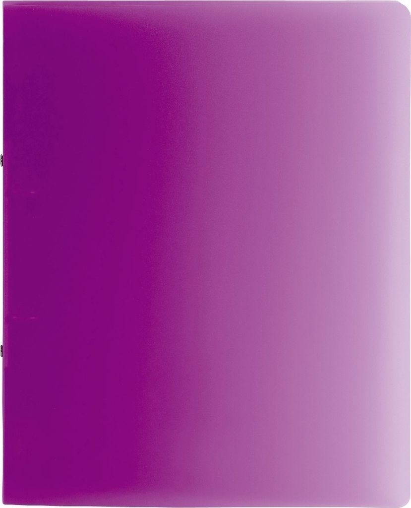 Ringbuch Fact! A4 25mm 2 Ringe purple Packung mit 10 Stück