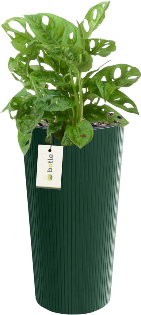 Blumentopf Übertopf Gemüse Rund Ø 25 cm H 48 cm Farbe Grün Streifenmuster Vertikale Rillen Matteoberfläche, aus Kunststoff Moderner Glamour, Z...